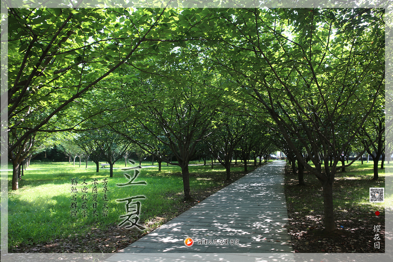 立夏.jpg