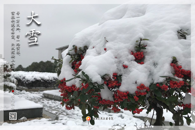 大雪.jpg